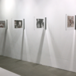 Exhibition scenography and curating